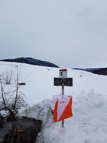 Treningsløp Orientering